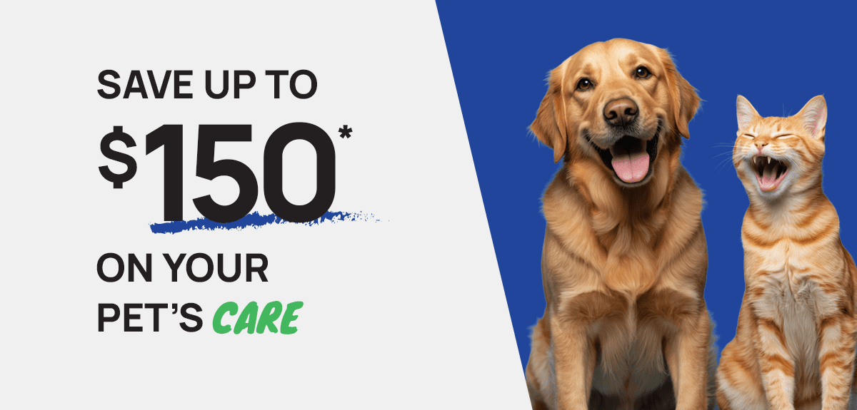 011326-Email-Dental-Campaign-T3_150off_Dog_Cat_HERO